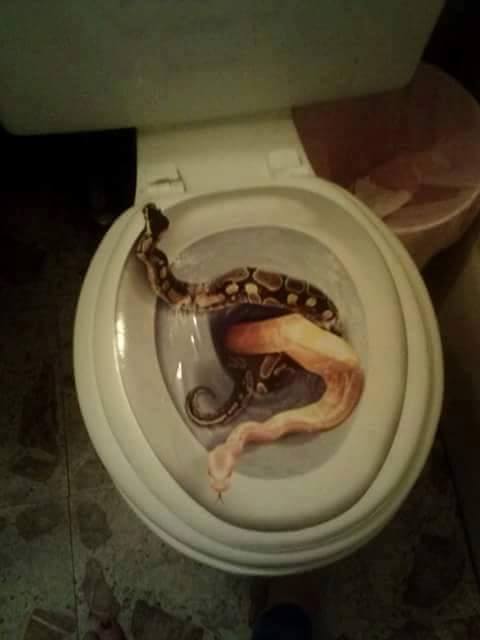 Ular WC © 2016 brilio.net