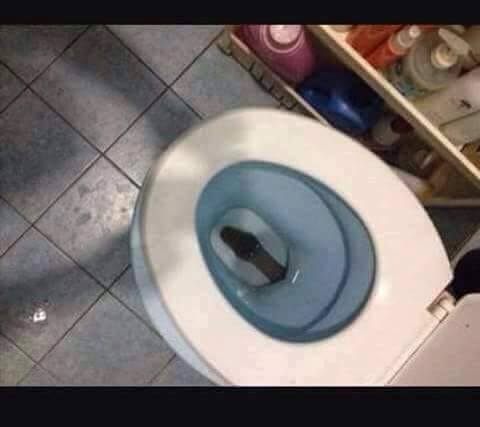 Ular WC © 2016 brilio.net