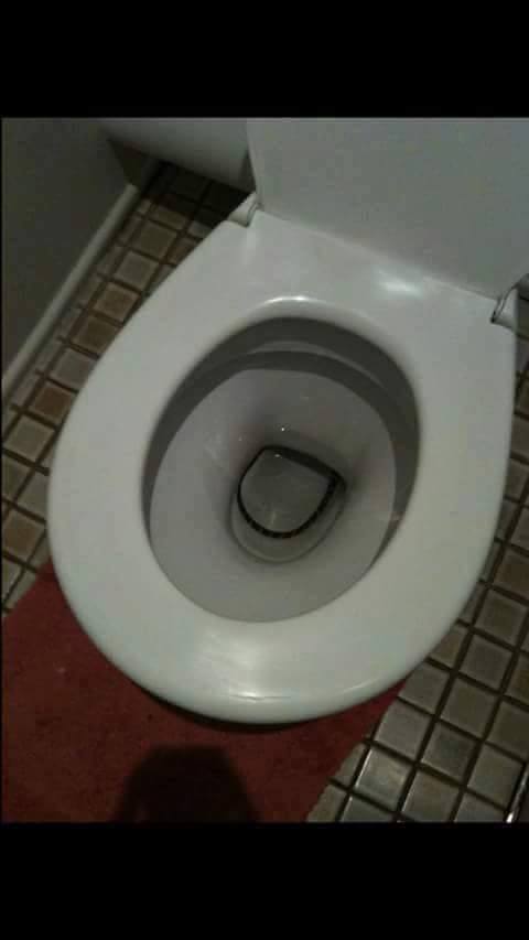 Ular WC © 2016 brilio.net