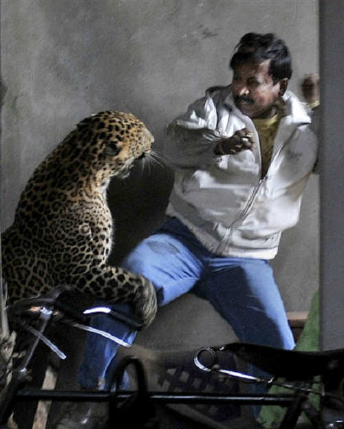 foto sedetik sebelum tragedi ini bikin ketawa miris © 2016 brilio.net foto sedetik sebelum tragedi ini bikin ketawa miris © 2016 brilio.net