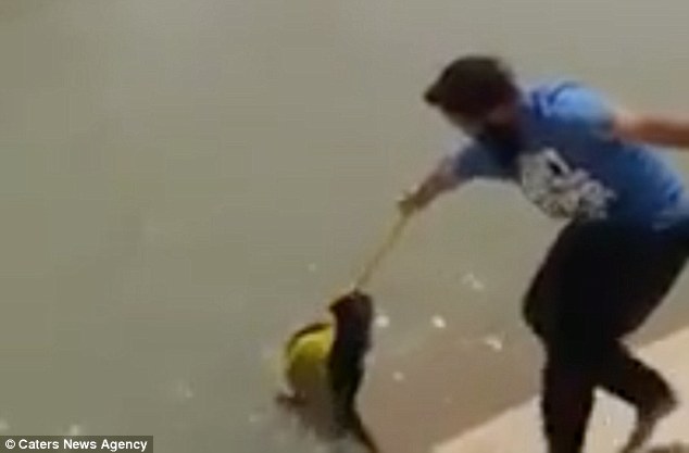 Pria ini selamatkan anjing hampir tenggelam menggunakan kain turbannya