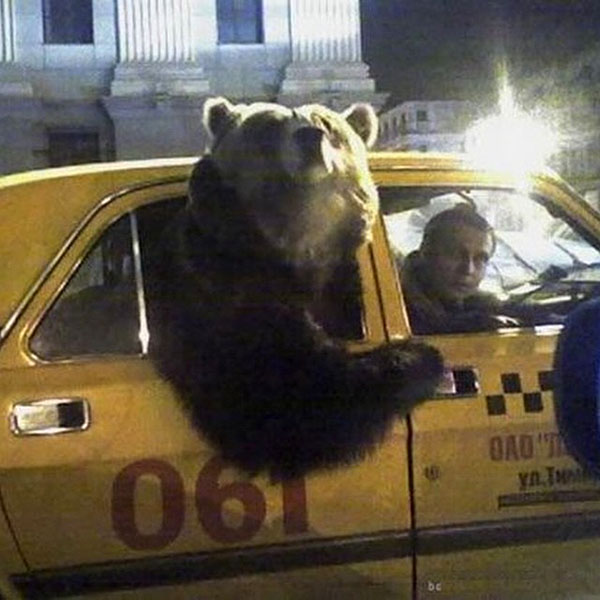 Rusia Ngawur © 2016 brilio.net Rusia Ngawur © 2016 brilio.net