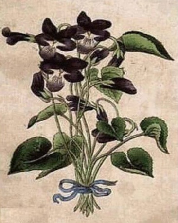 tebak wajah © 2016 brilio.net tebak wajah © 2016 brilio.net