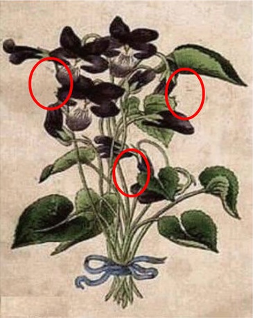 tebak wajah © 2016 brilio.net tebak wajah © 2016 brilio.net