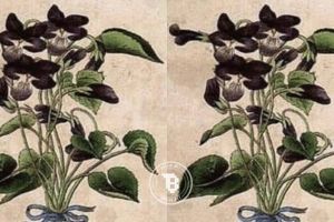 Jika kamu jago, coba tebak ada berapa wajah orang di gambar ini!