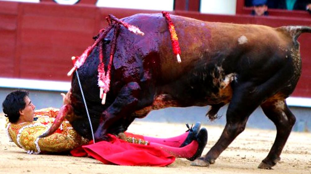 10 Foto aksi ngeri Matador melawan banteng, awas bikin ngilu