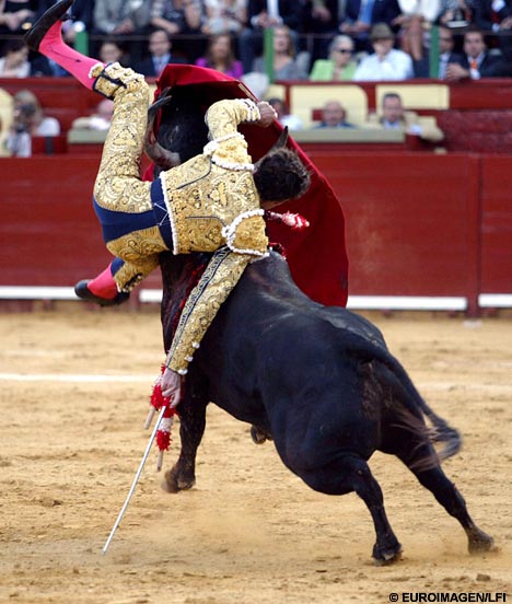 10 Foto aksi ngeri Matador melawan banteng, awas bikin ngilu