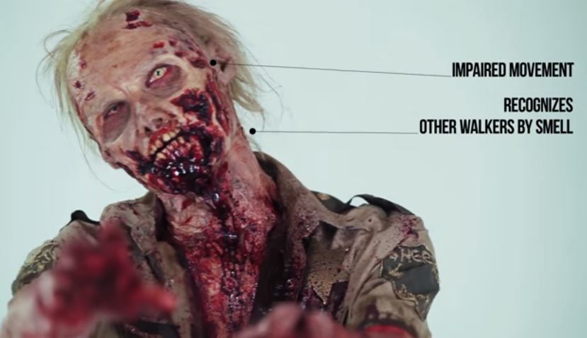 evolusi zombie © 2016 brilio.net evolusi zombie © 2016 brilio.net