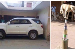 21 Foto paling aneh yang bikin kamu bertanya, 'kok bisa sih?'