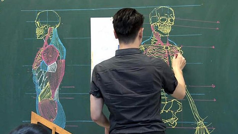Guru jago gambar ini jelaskan anatomi tubuh manusia dengan menarik