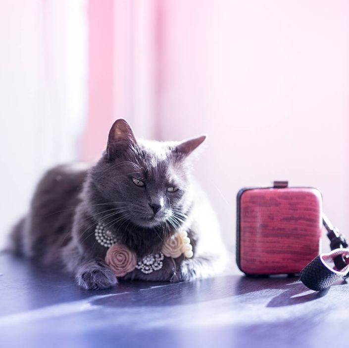 Pitzush © 2016 brilio.net Pitzush © 2016 brilio.net