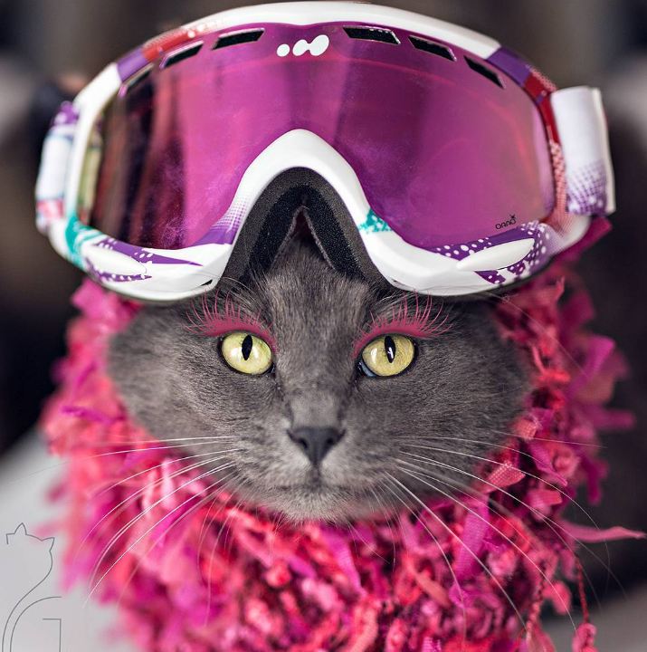 Pitzush © 2016 brilio.net Pitzush © 2016 brilio.net