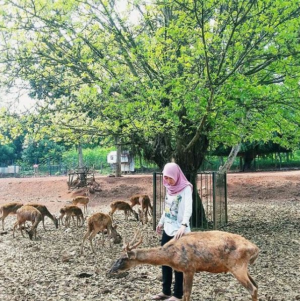 wisata keren di kudus 1-10 © 2016 brilio.net wisata keren di kudus 1-10 © 2016 brilio.net