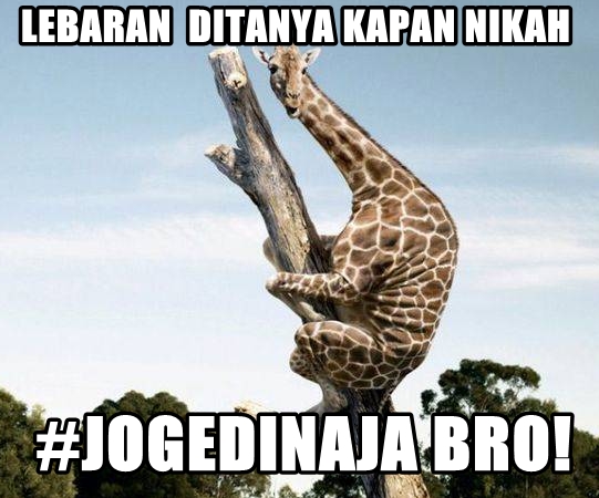 meme joged © 2016 brilio.net