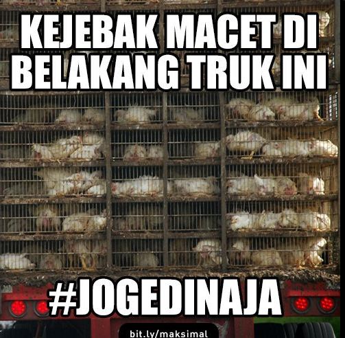 meme joged © 2016 brilio.net