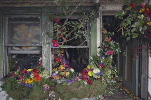 Penjual bunga ini hias rumah kosong, hasilnya bikin terpesona!