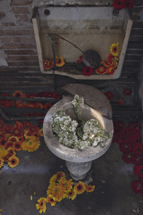 Penjual bunga ini sulap rumah kosong menjadi taman bunga © 2016 brilio.net Penjual bunga ini sulap rumah kosong menjadi taman bunga © 2016 brilio.net