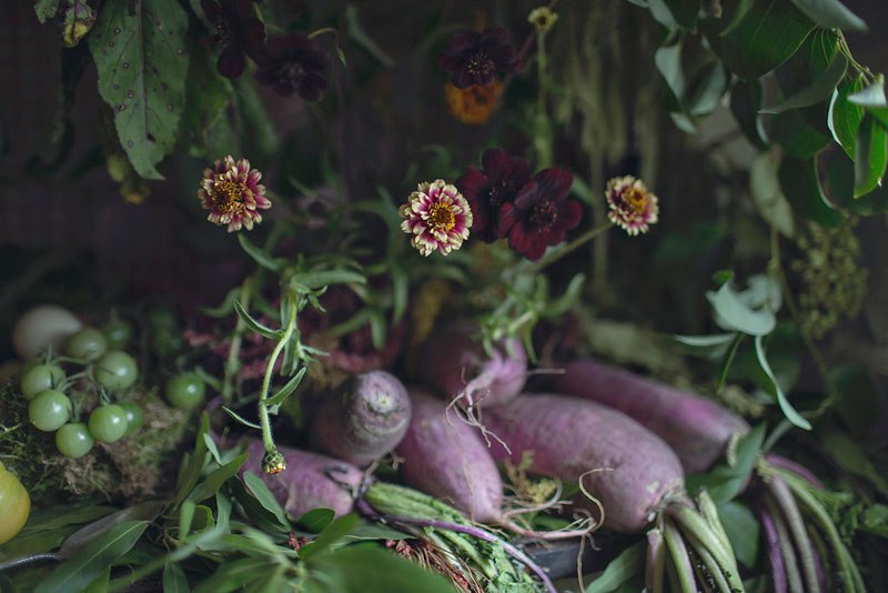 Penjual bunga ini sulap rumah kosong menjadi taman bunga © 2016 brilio.net Penjual bunga ini sulap rumah kosong menjadi taman bunga © 2016 brilio.net