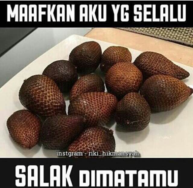 pleset buah © 2016 brilio.net pleset buah © 2016 brilio.net