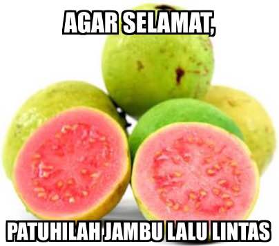 pleset buah © 2016 brilio.net pleset buah © 2016 brilio.net