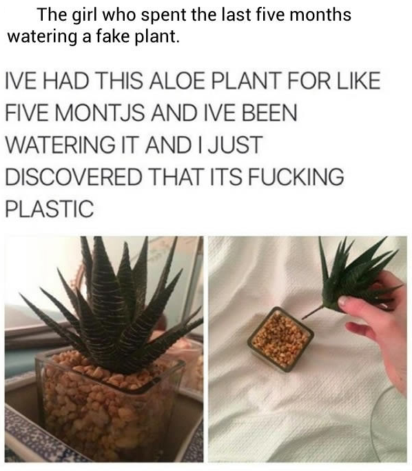 Sial Ngetz © 2016 brilio.net