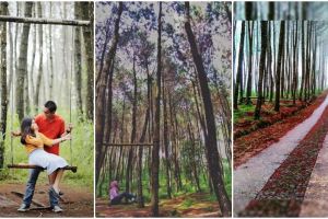 Top Selfie Pinusan Kragilan, tempat wisata selfie yang hits abis!