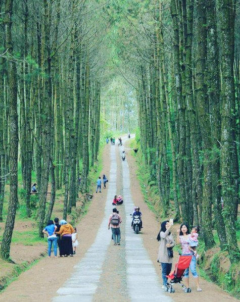 top selfie Pinusan © 2016 brilio.net top selfie Pinusan © 2016 brilio.net