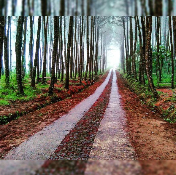 top selfie Pinusan © 2016 brilio.net top selfie Pinusan © 2016 brilio.net