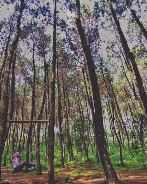 top selfie Pinusan © 2016 brilio.net top selfie Pinusan © 2016 brilio.net