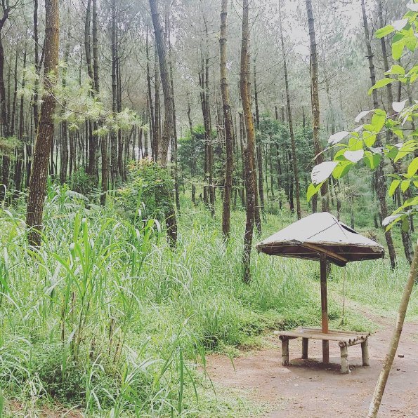 top selfie Pinusan © 2016 brilio.net top selfie Pinusan © 2016 brilio.net