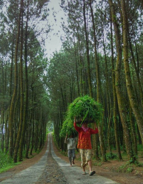 top selfie Pinusan © 2016 brilio.net top selfie Pinusan © 2016 brilio.net