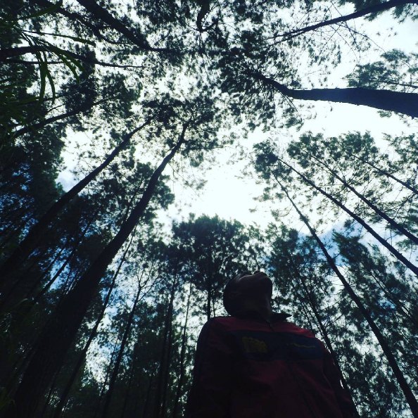 top selfie Pinusan © 2016 brilio.net top selfie Pinusan © 2016 brilio.net