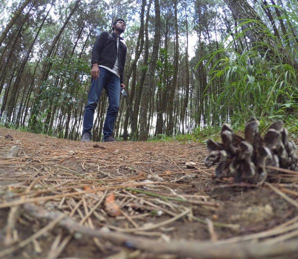 top selfie Pinusan © 2016 brilio.net top selfie Pinusan © 2016 brilio.net