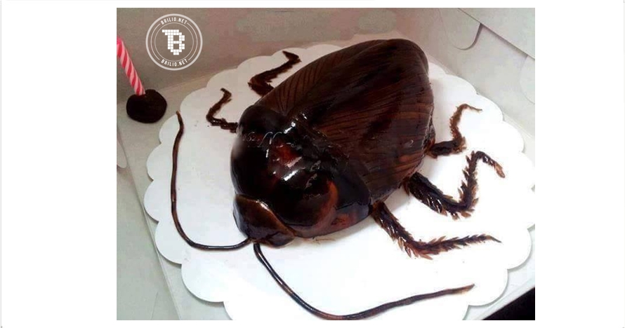 10 Kue ulang tahun berbentuk kecoak, keren atau jijik?