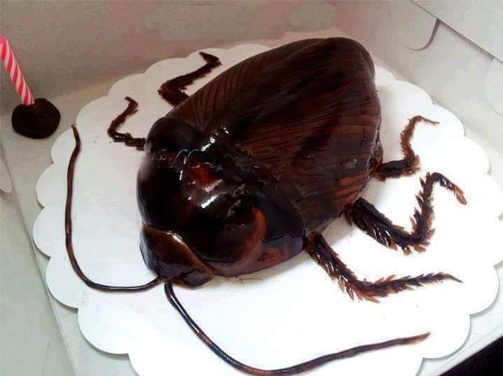 10 Kue ulang tahun berbentuk kecoak, keren atau jijik?