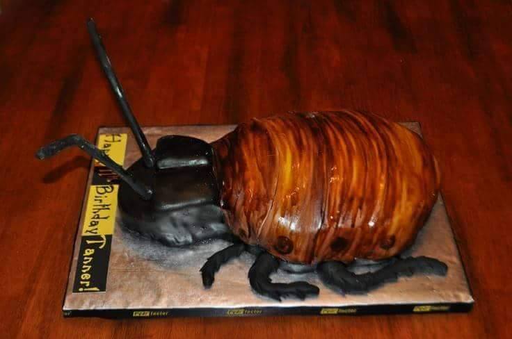 10 Kue ulang tahun berbentuk kecoak, keren atau jijik?
