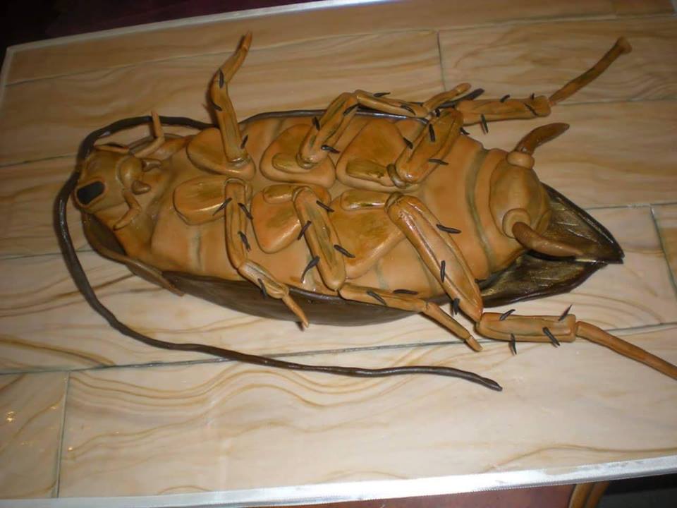 10 Kue ulang tahun berbentuk kecoak, keren atau jijik?