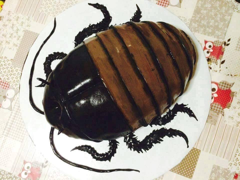 10 Kue ulang tahun berbentuk kecoak, keren atau jijik?