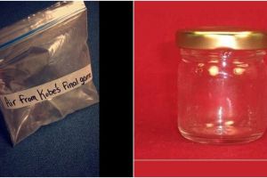 8 Benda tak lazim ini pernah dijual di online, ada-ada aja ya