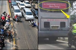 12 Kelakuan orang terobos jalur TransJakarta, sanksi tegas itu perlu!