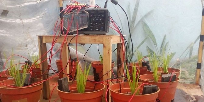 e-Paddy © 2016 brilio.net e-Paddy © 2016 brilio.net