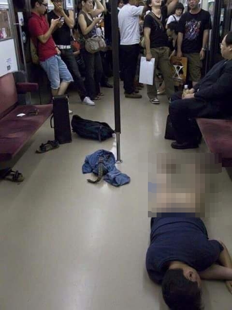 tingkah konyol orang Jepang © 2016 brilio.net tingkah konyol orang Jepang © 2016 brilio.net