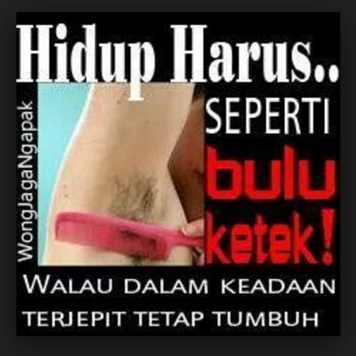 meme hidup itu seperti 1-14 © 2016 brilio.net