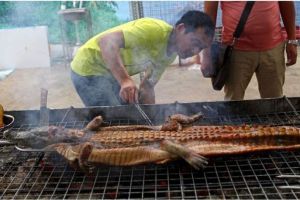 Negara ini legalkan perdagangan daging buaya, ada sate buaya juga lho!