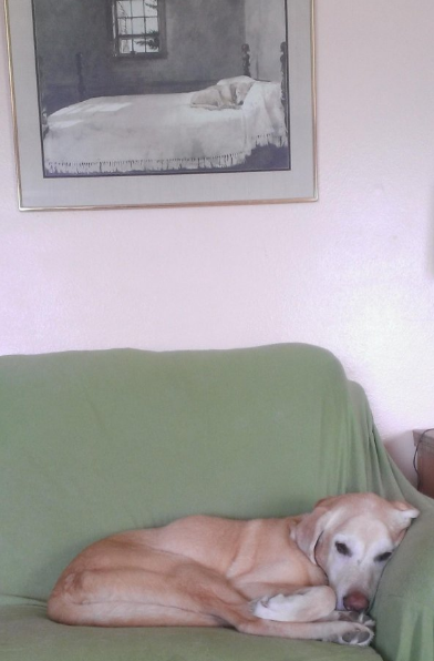 kejadian unik © 2016 brilio.net