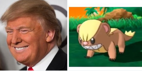 Donald Trump vs Yungoos © 2016 brilio.net