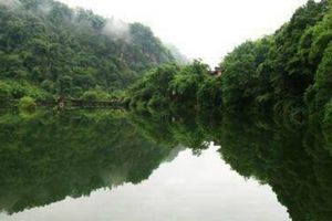 Mata kamu jeli? Temukan sosok Sun Go Kong atau Kera Sakti di foto ini 