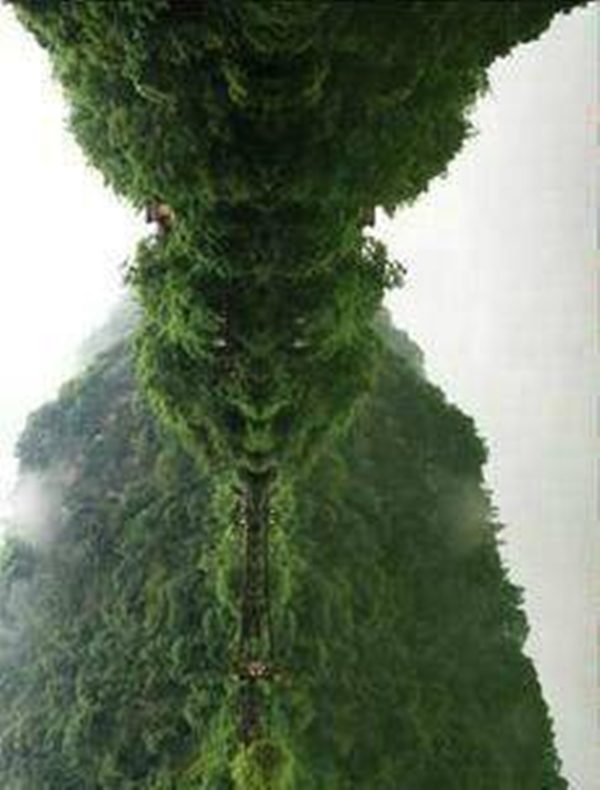 Sun Go Kong © 2016 brilio.net Sun Go Kong © 2016 brilio.net