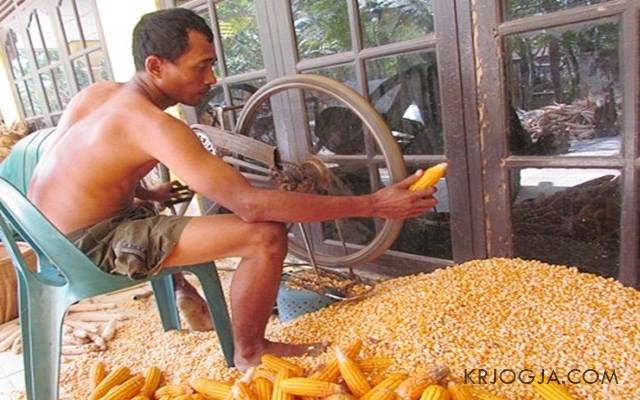 foto ini bukti kalau orang Indonesia itu nggak kalah kreatif © 2016 brilio.net foto ini bukti kalau orang Indonesia itu nggak kalah kreatif © 2016 brilio.net