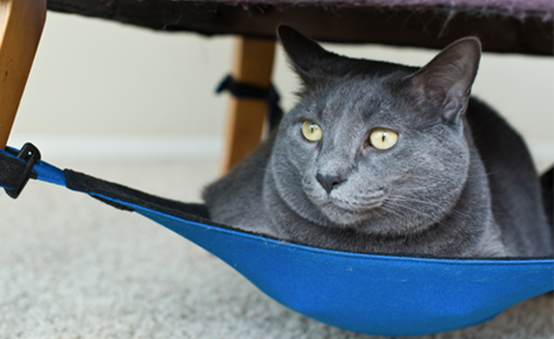 20 Inovasi super keren © 2016 brilio.net 20 Inovasi super keren © 2016 brilio.net